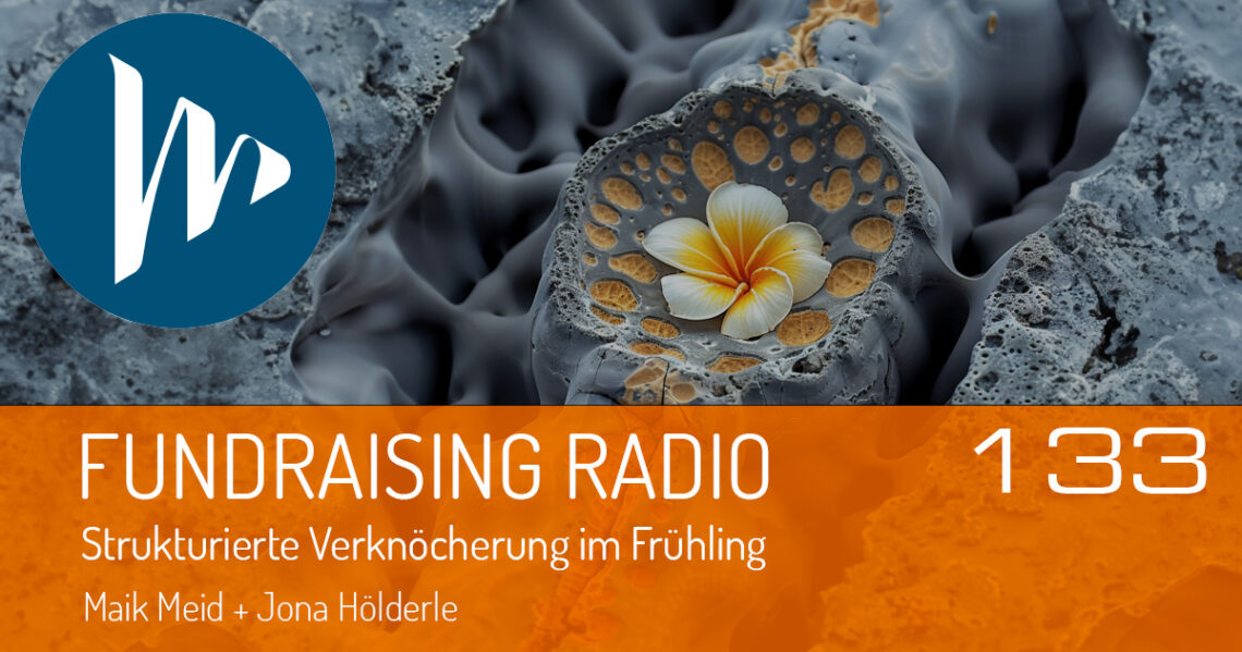 Folgencover 133 vom Fundraising Radio